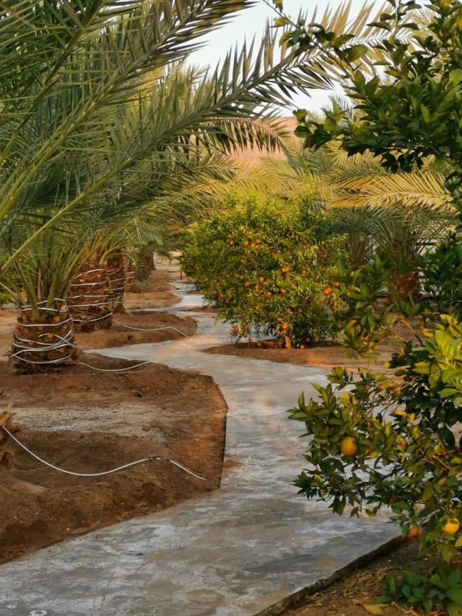 Almazham Camp Resort Al-`Ula Eksteriør billede