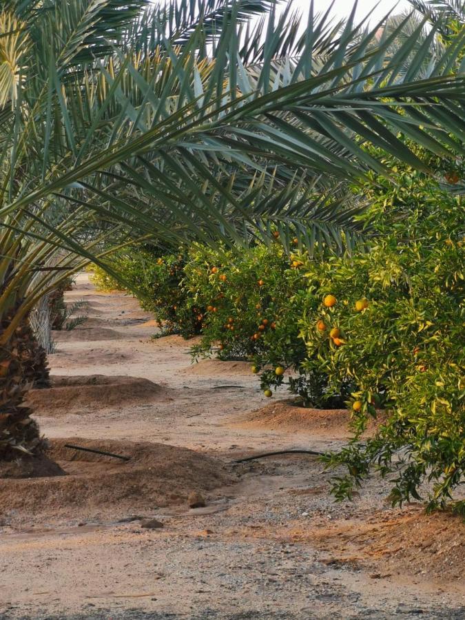 Almazham Camp Resort Al-`Ula Eksteriør billede