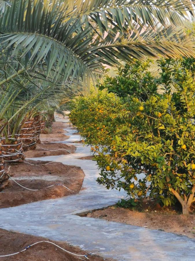 Almazham Camp Resort Al-`Ula Eksteriør billede